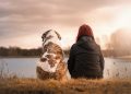 friends, dog, pet