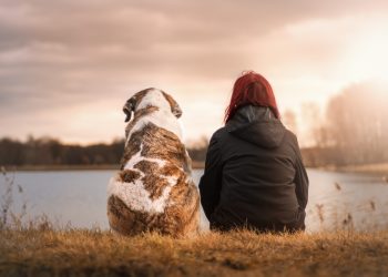 friends, dog, pet