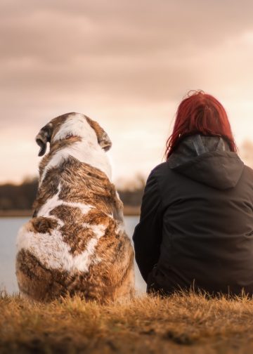 friends, dog, pet
