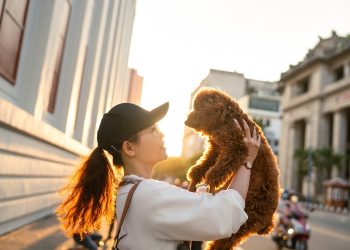 woman, dog, pet
