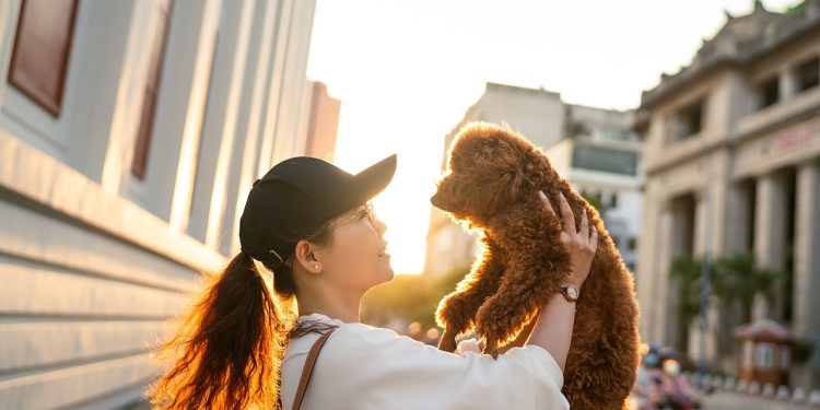 woman, dog, pet