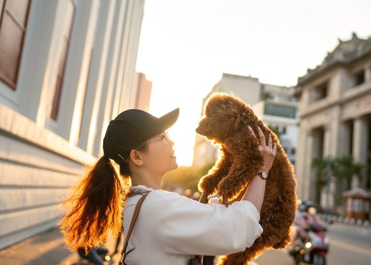 woman, dog, pet